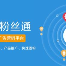 上海火速網絡科技股份 數據科技領域的技術服務先鋒